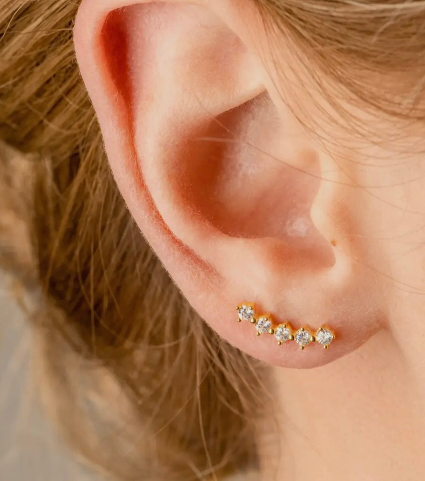Climber Earrings